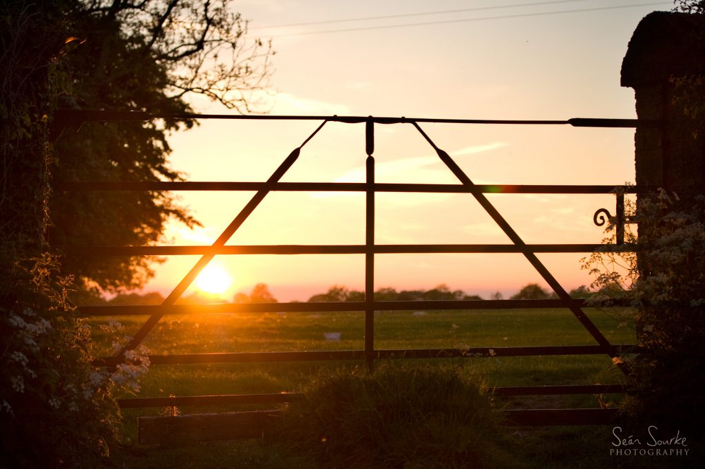 Farm Gate, Co. Wicklow